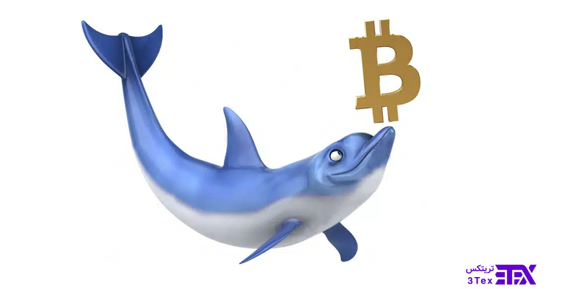 نهنگ ارز دیجیتال (Crypto Whale)